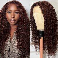 Reddish Brown Kinky Curly Wig Synthetic Lace Front Wigs For Women Copper Red Pre Plucked With Baby Hair Lace Closured Wig [ Hot sell ] TOY CENTER