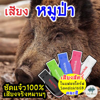 เสียงหมูป่า เสียงต่อหมูป่า เมม/แฟลชไดร์ฟเสียงต่อหมูป่า มีเก็บเงินปลายทาง เสียงจริง ชัดแจ๋ว 100% ไม่มีโฆษณาแทรก (MP3 เสียงต่อสัตว์)