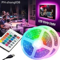 2M USB LED Light Strip RGB 60 Leds Computer Desk DIY TV Backlight 24Key Remote Control 5050 Multicolor Tape Home Decoration Lamp