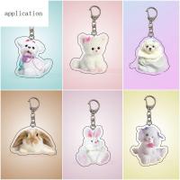 APPLICA Bunny Puppy Doll สัตว์กระต่ายลูกสุนัขพวงกุญแจการ์ตูนจี้กระเป๋าลายสัตว์อะคริลิคจี้ลูกสุนัขกระเป๋าเครื่องประดับอะคริลิคกระต่ายพวงกุญแจตุ๊กตาผู้หญิงของขวัญเด็กผู้หญิง