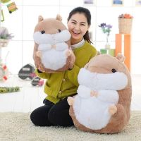 Japan Cute Hamster Plush Dolls Plush Toys Guinea Pigs Hamsters Dolls Sent His Girlfriend A Birthday Present