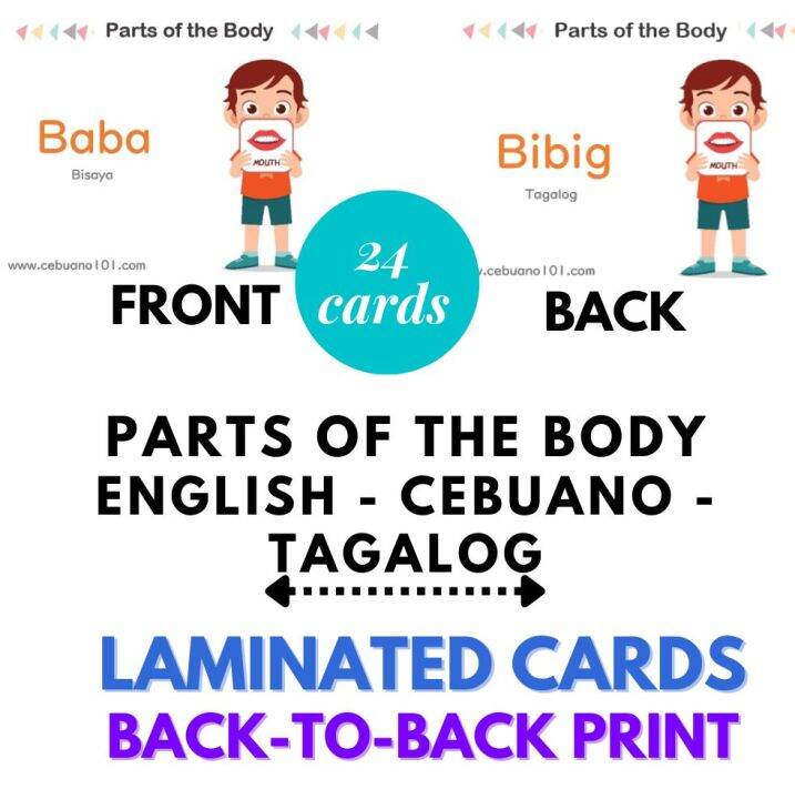 Laminated Flashcards ENGLISHCEBUANOTAGALOG PARTS OF THE BODY