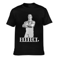 Mr. Perfect Flair The Rock Pro Wrestling Cena Reigns Retro Funny Humor Mens Short Sleeve T-Shirt