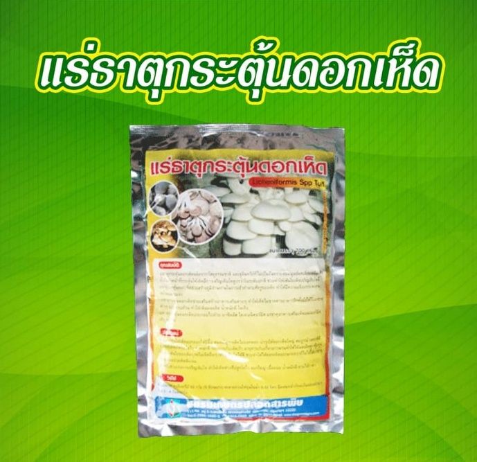 thaigreenagro-แร่ธาตุกระตุ้นดอกเห็ด-stimulator-ฮอร์โมนเร่งการเจริญเติบโต