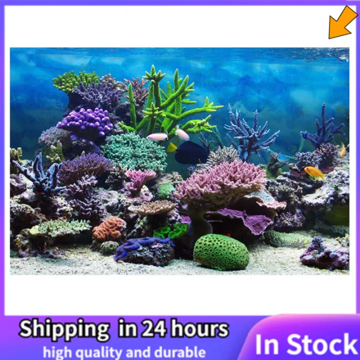 Big Promotion】DeeTee PVC Adhesive Underwater Coral Aquarium Fish Tank  Background Poster Backdrop Decoration Paper 61*41cm | Lazada PH