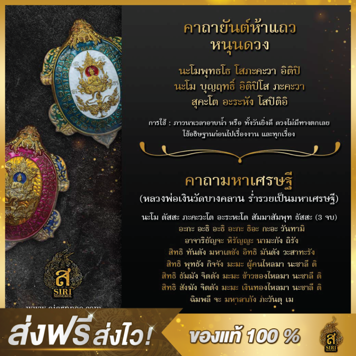 ของแท้-100-เหรียญพญาเต่าเรือน-พญาเต่าเรือน-วัตถุมงคล-อาจารย์หนูกันภัย