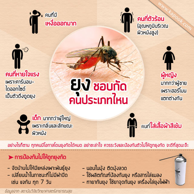 เครื่องพ่นหมอกควันกำจัดยุง-และแมลง-แบบพกพา-รับประกันสินค้า-1-ปี