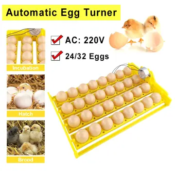 Buy Automatic Incubator For Chicken 24 Eggs online