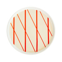 Beige &amp; Orange Stripe Plate จานเซรามิก ขนาด 9 นิ้ว