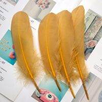 50PCS Feathers 15-20 Needlework and Handicrafts Wedding Decoration Plumes Sewing Accessories