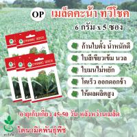 เมล็ดพันธุ์กวางตุ้งใบ ไพลิน นำเข้าจากนิวซีแลนด์ ตรา ใบไม้ 10 กรัมต่อซอง 5 ซอง จาก ไดนามิคพันธุ์พืช Leaf Pakchoy seeds (Pailin) 5 x 10 grams x 5 sachets by Dynamic Seeds