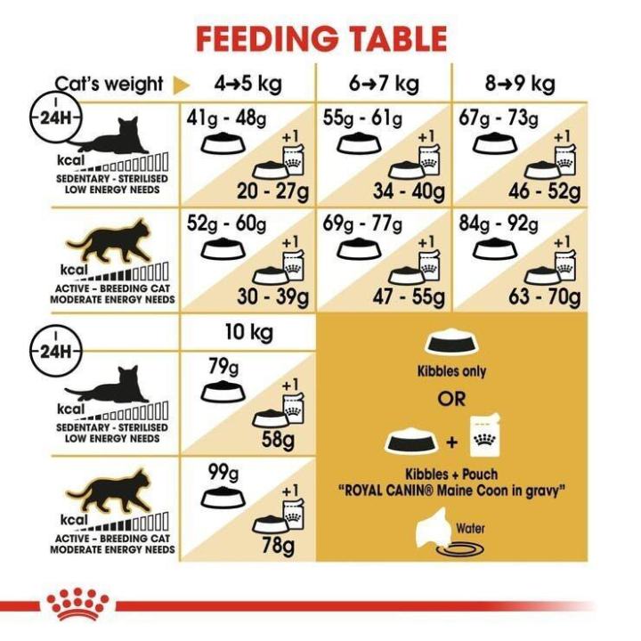 royal-canin-maine-coon-adult-cat-food-อาหารแมว-รอยัล-คานิน-สำหรับแมวโตพันธุ์เมนคูน-อายุ-15-เดือนขึ้นไป-ขนาด-10-กก