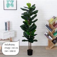 ?สินค้าขายดี? [140 cm. (3ลำต้น)][พร้อมส่ง1.7M] ต้นไทรใบสักปลอม มี7 ขนาด