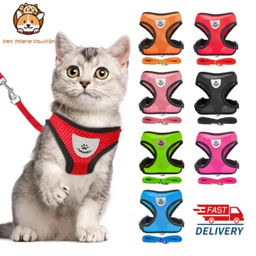 Cat best sale harness lazada