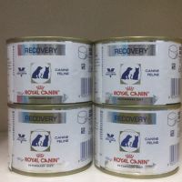 ห้ามพลาด [ลด50%] แถมส่งฟรี อาหารสัตว์ป่วย Royal Canin Recovery จำนวน 4 กระป๋อง