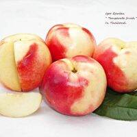 เนกทารีน พันธุ์ ไวท์ ( White Nectarines ) "  ( กล้าเสียบยอด / สูงประมาณ 30 ซม. ) ... ลูกโต รสหวาน เนื้อกรอบ