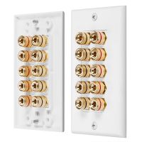 Home Theater Wall Plate - Premium Quality Gold Plated Copper Banana Binding Post Coupler Type Audio Wall Plate