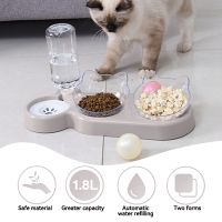 Pet Cat Bowl Automatic Feeder 3-in-1 Dog Cat Food Bowl With Water Fountain Double Bowl Drinking Raised Stand Dish Bowls