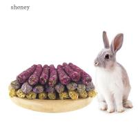 SHENEY 6ชิ้นเครื่องบดสำหรับทำความสะอาดฟันชินชิลล่าสำหรับสัตว์เลี้ยงของเล่นเคี้ยวสัตว์เลี้ยงชุดทำความสะอาดฟันแท่งแฮมสเตอร์เคี้ยวขนมกระต่าย