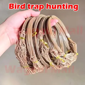 Shop Chicken Bird Trap with great discounts and prices online