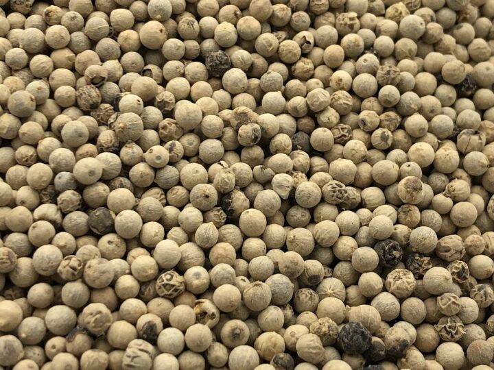 พริกไทยขาว-white-pepper-ขนาด-500-กรัม-พริกไทยขาว-เครื่องเทศ-พริกไทยเม็ดขาว-คุณภาพดี-พริกไทยขาวเม็ด