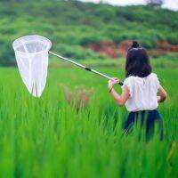 Bug Net Butterfly Catching Net Fish Nylon Net with escopic Handle for s &amp; Kids,Extendible From 37 Inch To 68 Inch.