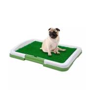 Puppy Potty Pad   ห้องน้ำสัตว์เลี้ยง  ห้องน้ำสำหรับสุนัข  รุ่น puppyPotty102-J1