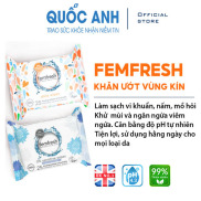 Khăn giấy ướt vệ sinh vùng kín phụ nữ cao cấp Femfresh Anh Quốc - 25 tờ gói