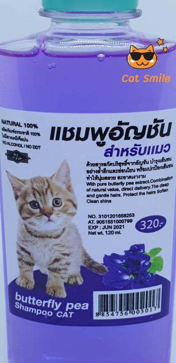 natural-แชมพูอัญชัน-สำหรับแมว-ผลิตภัณฑ์ธรรมชาติ-100-ไม่มีสารเคมีเจือปน-no-alcohor-no-ddt