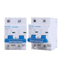 DC Circuit Breaker 2P Miniature Protection Switch 12v-125v 80A/100A/125A/150A/200A/250A Solar Battery Protection Circuit Breaker