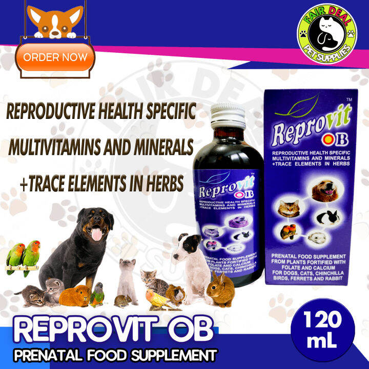 REPROVIT OB Multivitamins 120mL Lazada PH
