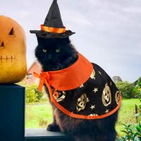ZZOOI 2PCS Halloween Pet Pumpkin Hat Cat Dog Party Dress Up Costume Caps Pet Cat Holiday Accessories