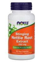 [ ถูกที่สุด ] Now Foods Stinging Nettle Root Extract 250 mg { 90 เม็ด } [ ถูกที่สุดใน Lazada ]