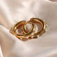 【CC】 2022 New Tarnish Chunky Hoop Earrings With Small Dainty Gold Plated