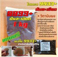 เหยื่อตกปลา สูตร 9933+ ขนาด 1kg ผสมวิตามินกระตุ้นการกินของปลานิล / แถมผงใย 9933+ (25g) ทำชิ้นเกี่ยวฟรี