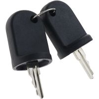 2PCS Ignition Switch Keys Compatible for RXV G&amp;E 611282 605946 606993