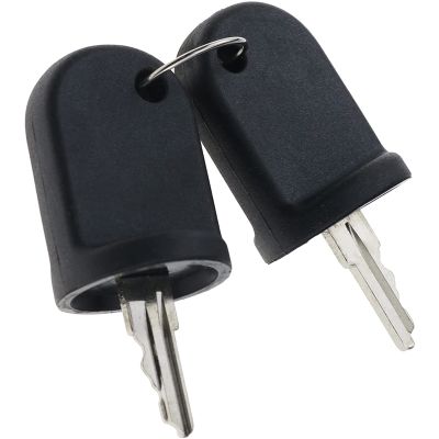 2PCS Ignition Switch Keys Compatible for EZGO RXV G&E 611282 605946 606993