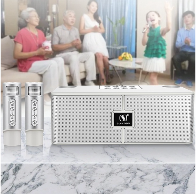 YS204 Bluetooth Speaker Handheld Ktv With Microphone Wireless Charging