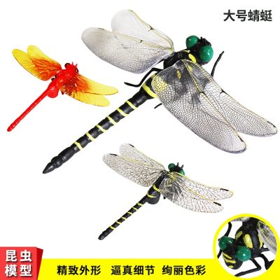 Hot selling childrens plastic static simulation wild animal model dragonfly toy ornaments educational cognitive keychain