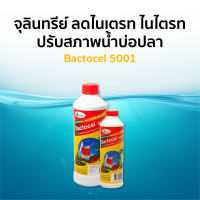 โปรโมชั่นแบคโตเซล 5001 1000cc 2 ขวด แถม 5001 300 cc 1ขวด  รักษาน้ำในบ่อ น้ำใส น้ำมีกลิ่นเหม็น จุลินทรีย์น้ำใส