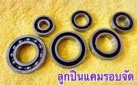 ลูกปืนแคมรอบจัด ลูกปืนรางไฟเบอ W125R/S/W110i/Dream/W125i/Msx ชุดลูกปืนรอบจัดรางไฟเบอร์  ขายเป็นคู่.