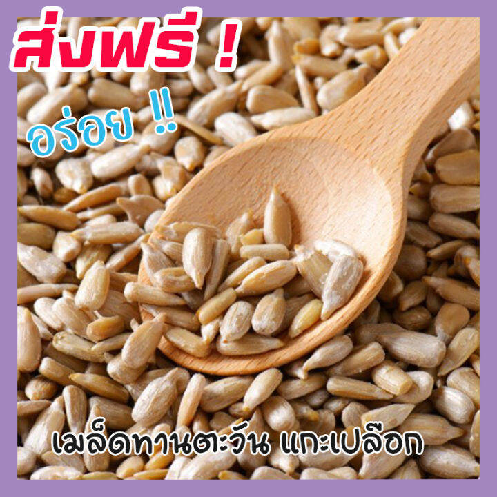 ส่งฟรี-ซื้อ-1-ฟรี-1-ขนาด-500กรัม-ฟรี-500กรัม-เมล็ดทานตะวันแกะเปลือก-sunflower-seeds-roasted-unsalted-เม็ดทานตะวัน-ทานตะวันอบ-ขนมกินเล่นถูกๆ-ขนมกินเล่น-อาหารพร้อมทาน-ขนมที่ดังใน-tiktok-ขนมถูกๆส่งฟรี-ธั