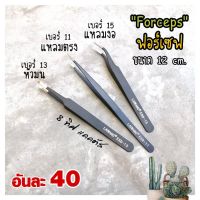 ฟอร์เซฟ รุ่น มีเบอร์ // forceps แบบหนา อย่างดี ขนาด 12-12.5 cm ที่คีบ แคคตัส กระบองเพชร