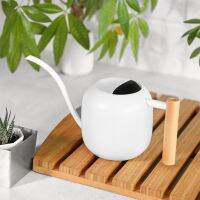 【CC】 1200ML Watering Can Spout Handle Indoor Outdoor Flowers Pot Gardening Supplies