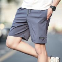 Men Shorts Drawstring Short Pants Casual Shorts Quick-Drying Shorts Printed Shorts Swim Surfing Beachwear Shorts Mens Clothing