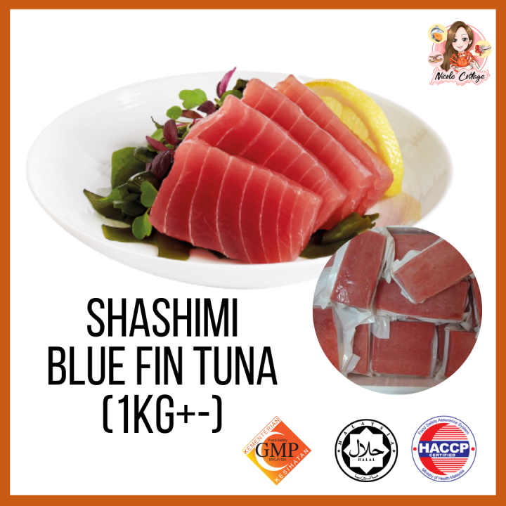 Premium Shashimi Grade Tuna Fish/Tuna Loin/Saku Tuna/Blue Fin Tuna