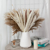 【cw】Real Dried Reed Lover Grass Flowers Natural Pampas Bouquet Home Wedding Birthday Decoration Table Flores Preservadas For Room