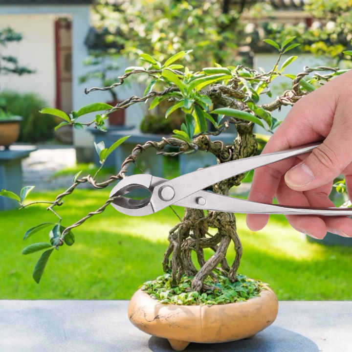 กรรไกรทำสวนมีดตัดกิ่งบอนไซดอกไม้สำหรับผู้ที่ชื่นชอบบอนไซกลางแจ้งการตัดแต่งกิ่งที่เหมาะสม