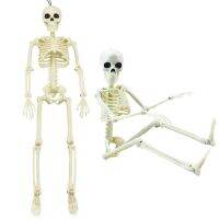 【YF】▨  Figure Movable Joint Human for Props Spooky Decoration