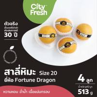 CityFresh สาลี่ หิมะ Snow Pear Fortune Dragon สินค้านำเข้า